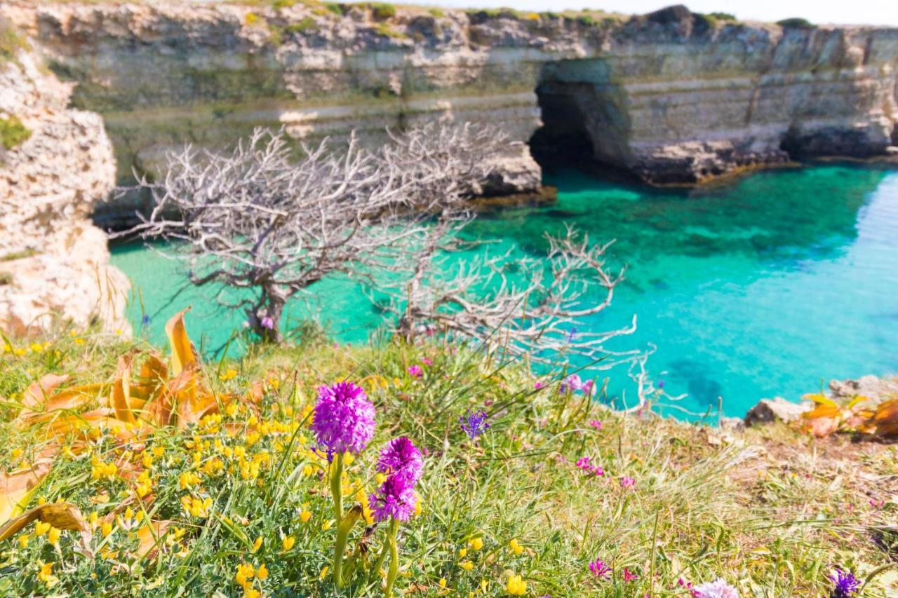 Casa Vacanze Frida In Salento Otranto Bagian luar foto